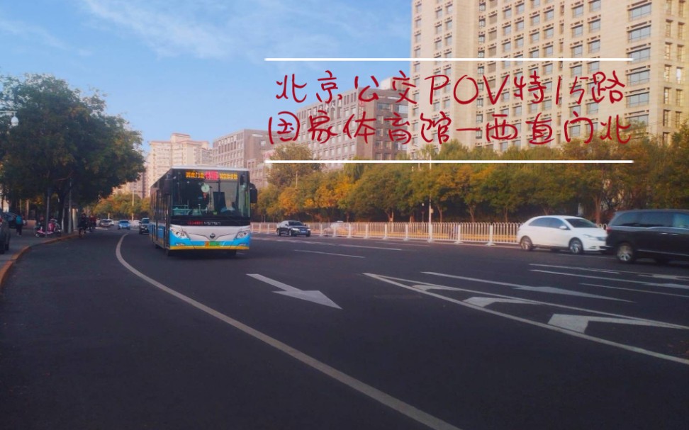 【公交-132】北京公交pov 特15路 国家体育馆—— 全程前方展望