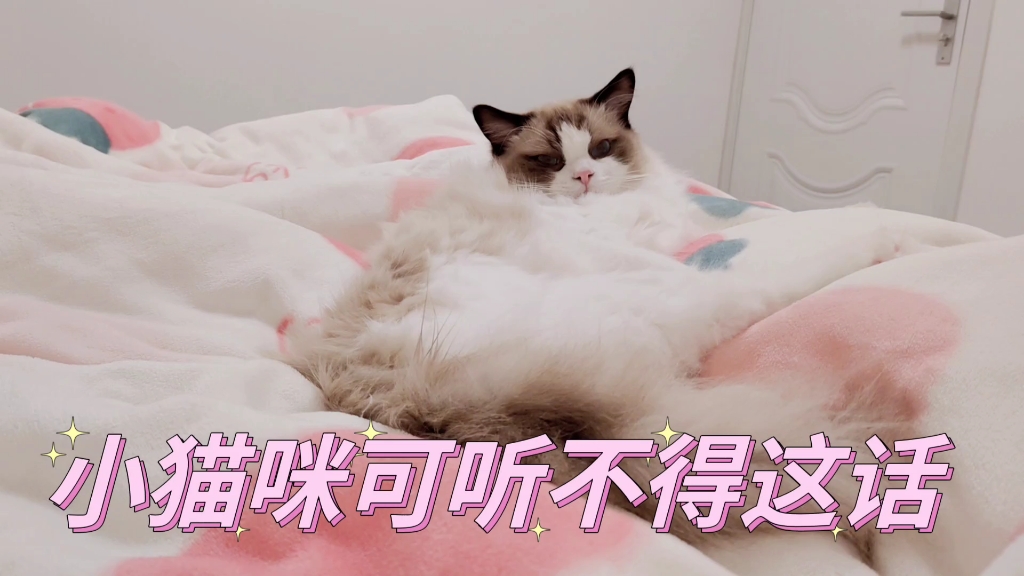 [图]晴天小猫|与话痨妈妈