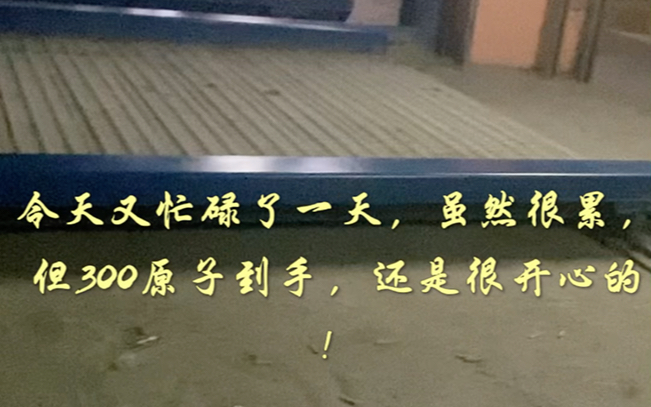 生活不易,我们明天继续!