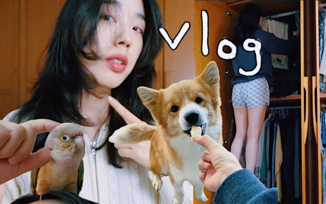 〈精制中字〉Garlic Kim 𐟌𑲶9 Vlog I 分层 C卷发 I 怀旧衣服 Haul I 保温马克杯 I 饼干中毒 I 家常饭 I哔哩哔哩bilibili