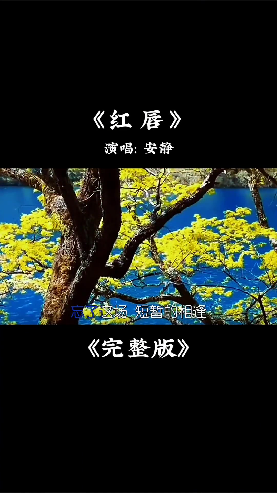 安静的红唇完整版歌词句句扎心伤感催泪百听不厌红唇安静热门音乐