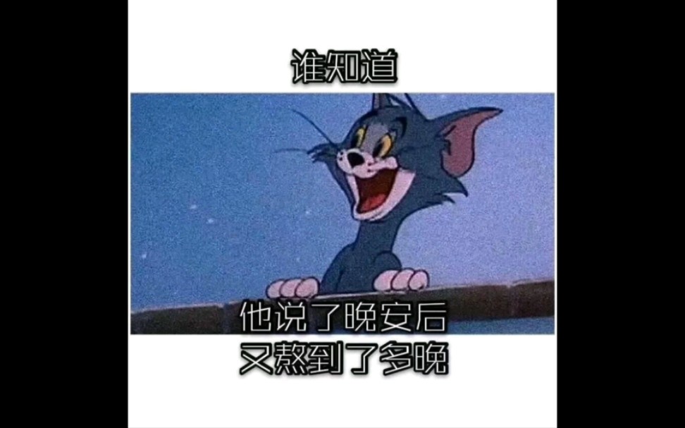 曾经的杰瑞与汤姆