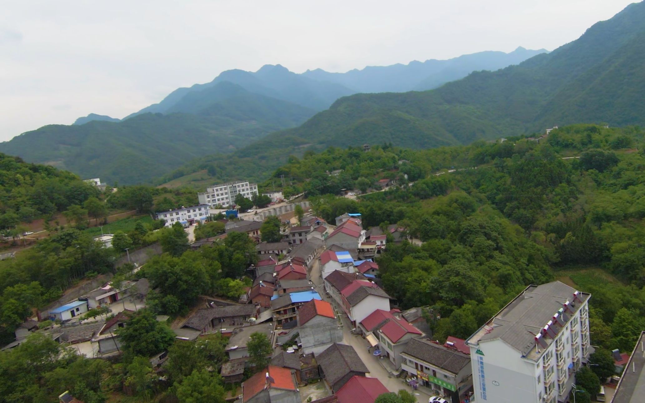 活动  略阳县观音寺镇