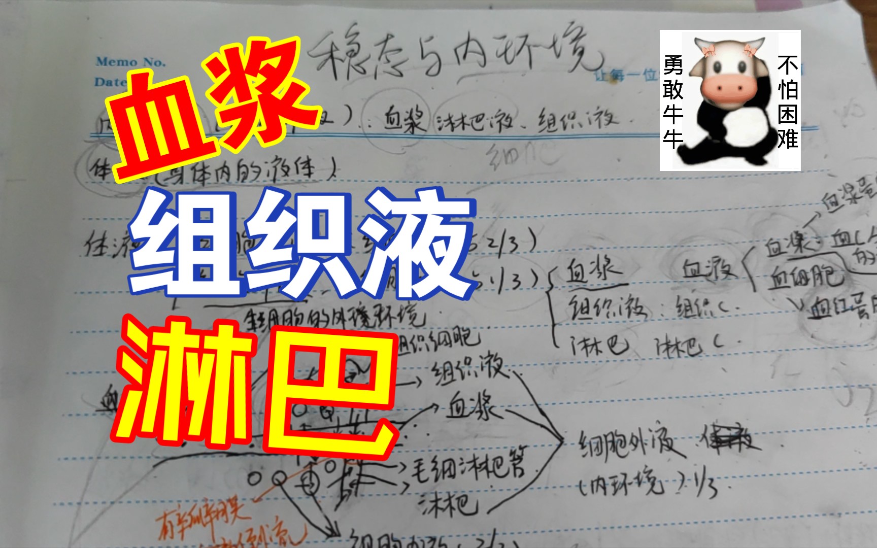 快速学习 内环境与稳态 血浆淋巴组织液关系哔哩哔哩bilibili