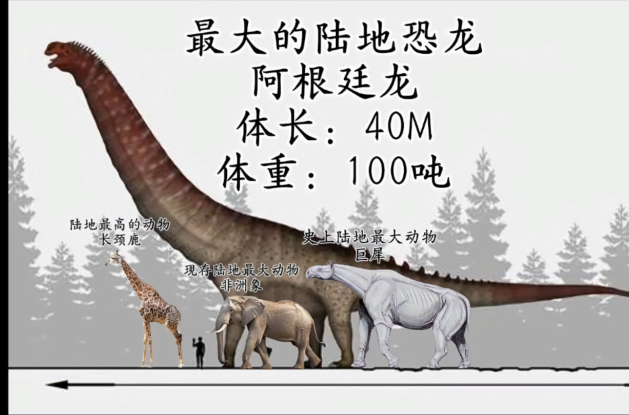 没想到这些史前巨兽这么的巨兽,没想到阿根廷龙这么的巨大!