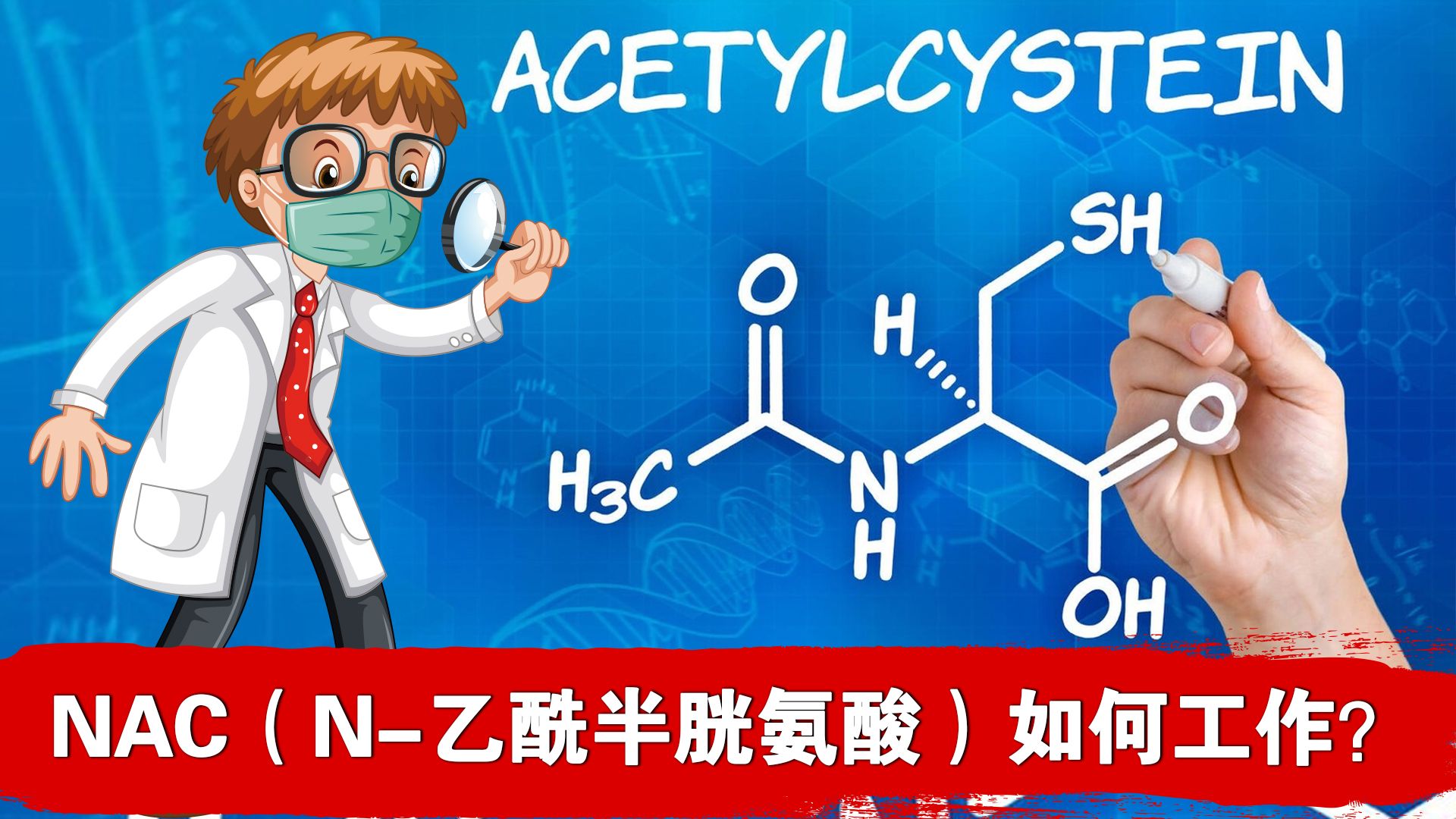 nac(n-乙酰半胱氨酸)在體內是如何工作的?