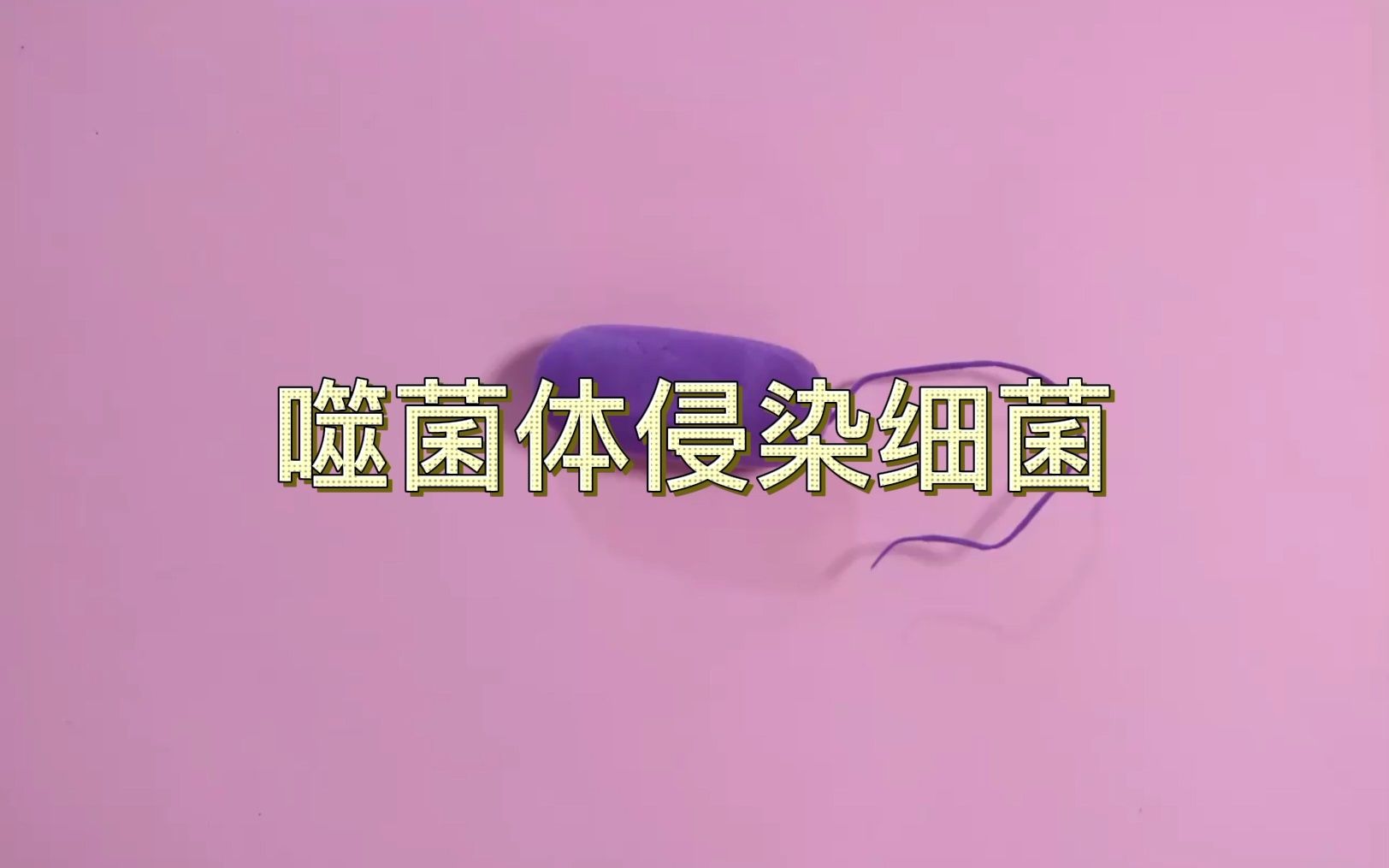 大境高二(6)班|噬菌体侵染细菌哔哩哔哩bilibili