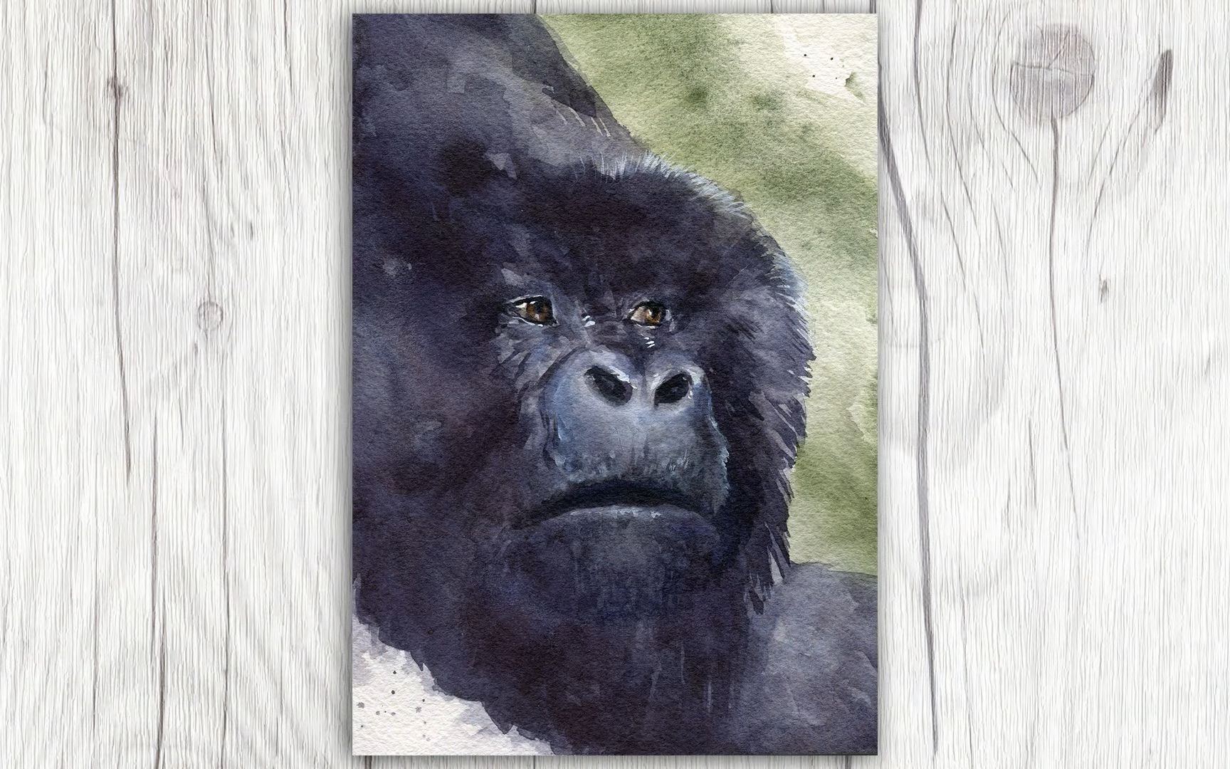 水彩山地大猩猩如何画黑色的动物