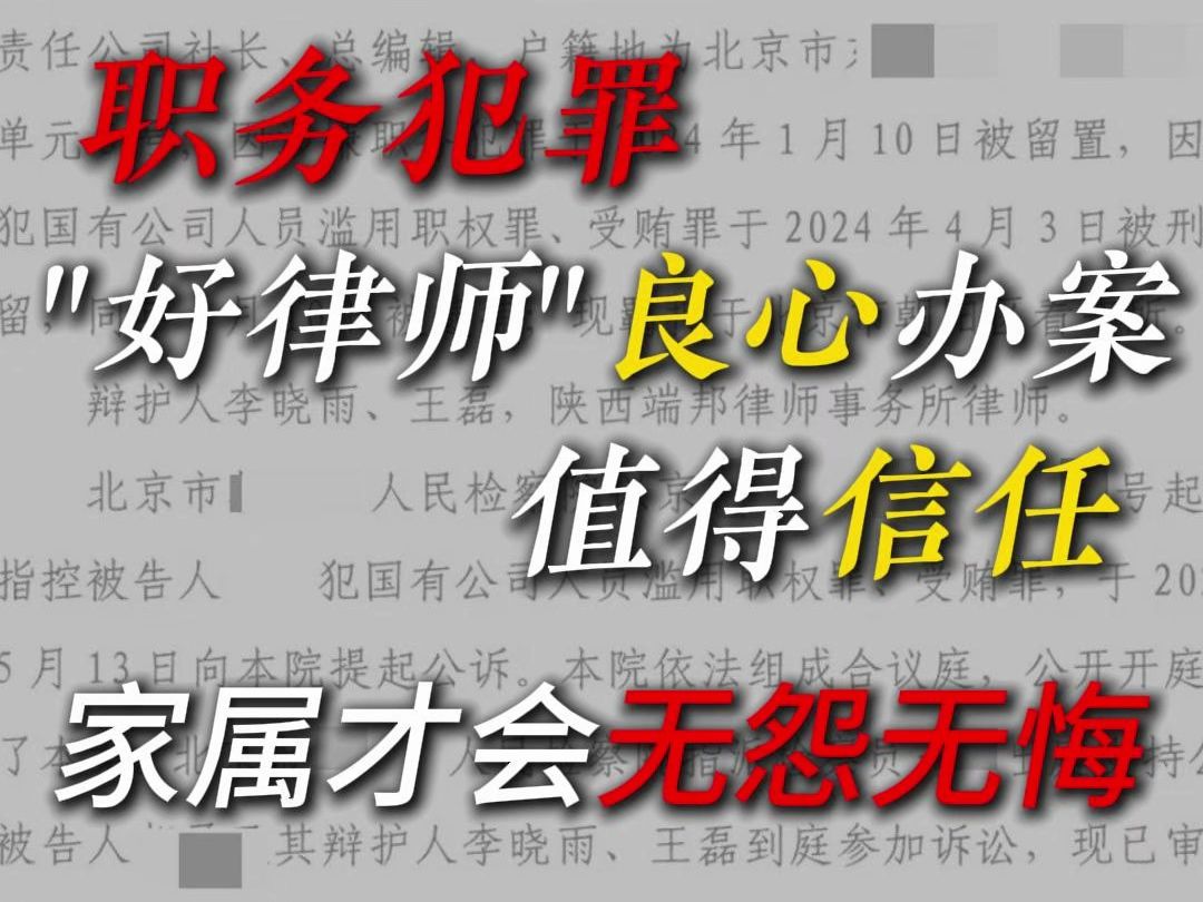 职务犯罪 好律师良心办案 值得信任哔哩哔哩bilibili