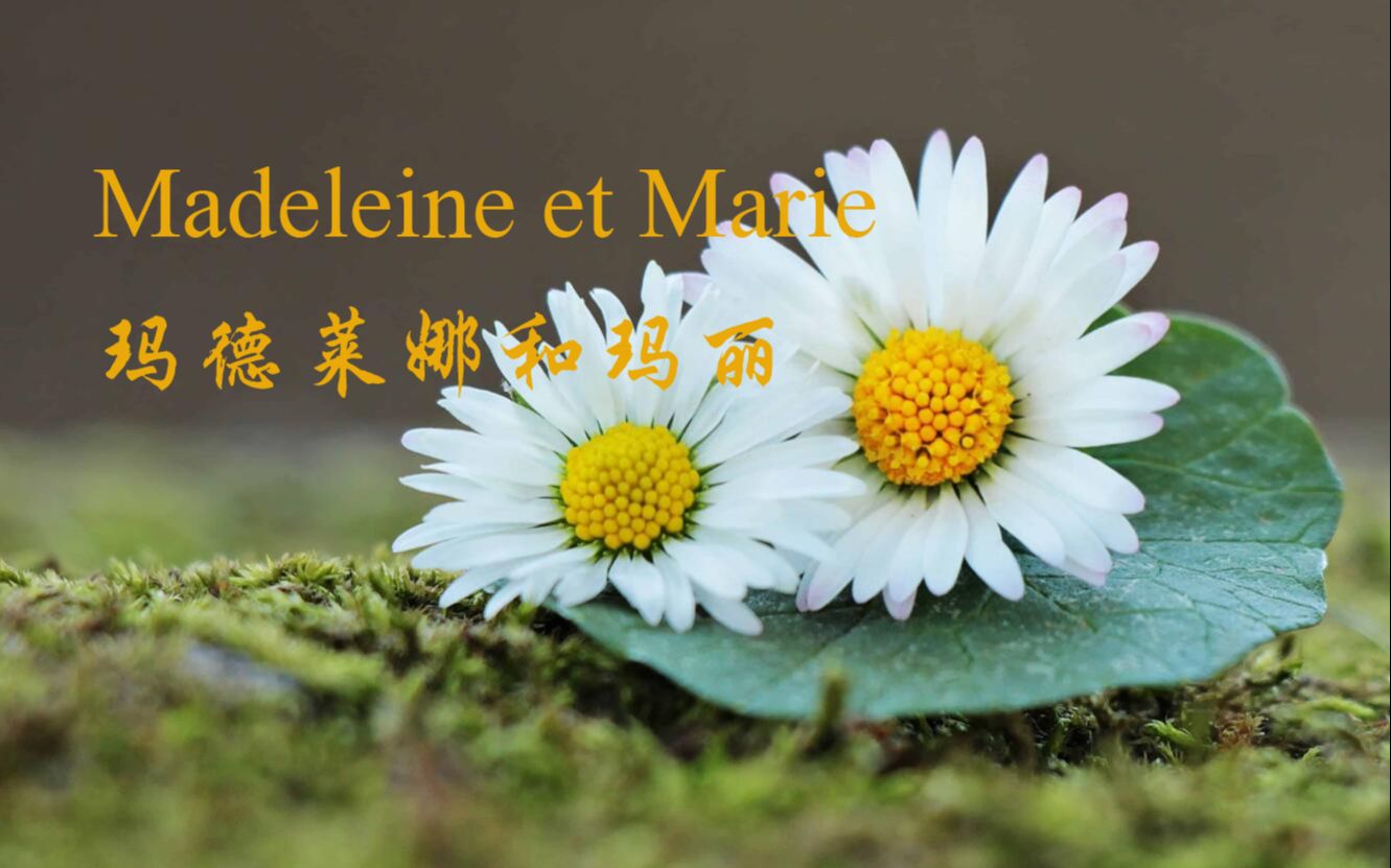 [图]玛德莱娜和玛丽（Madeleine et Marie）