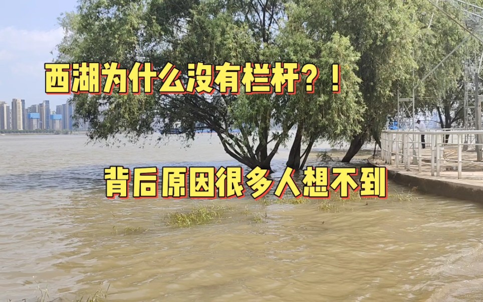 诺大的杭州西湖为什么会没有栏杆呢?!原来是这个原因!哔哩哔哩bilibili