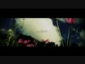 初音ミク  SwallowS  クミ音初哔哩哔哩bilibili