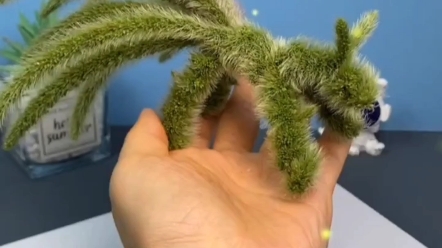 你知道用狗尾巴草怎么编九尾狐吗