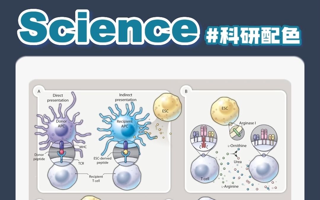 弗雷赛斯 | 科研配色第二弹!《Science》喜欢什么样的色彩搭配呢?美丽色卡,尽收囊中~颜色搭配千千万,不如一起学顶刊~哔哩哔哩bilibili