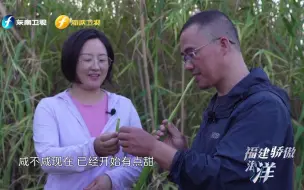 Download Video: 【福建骄傲海洋力量】拯救盐碱地  菌草比你想象的更有用！