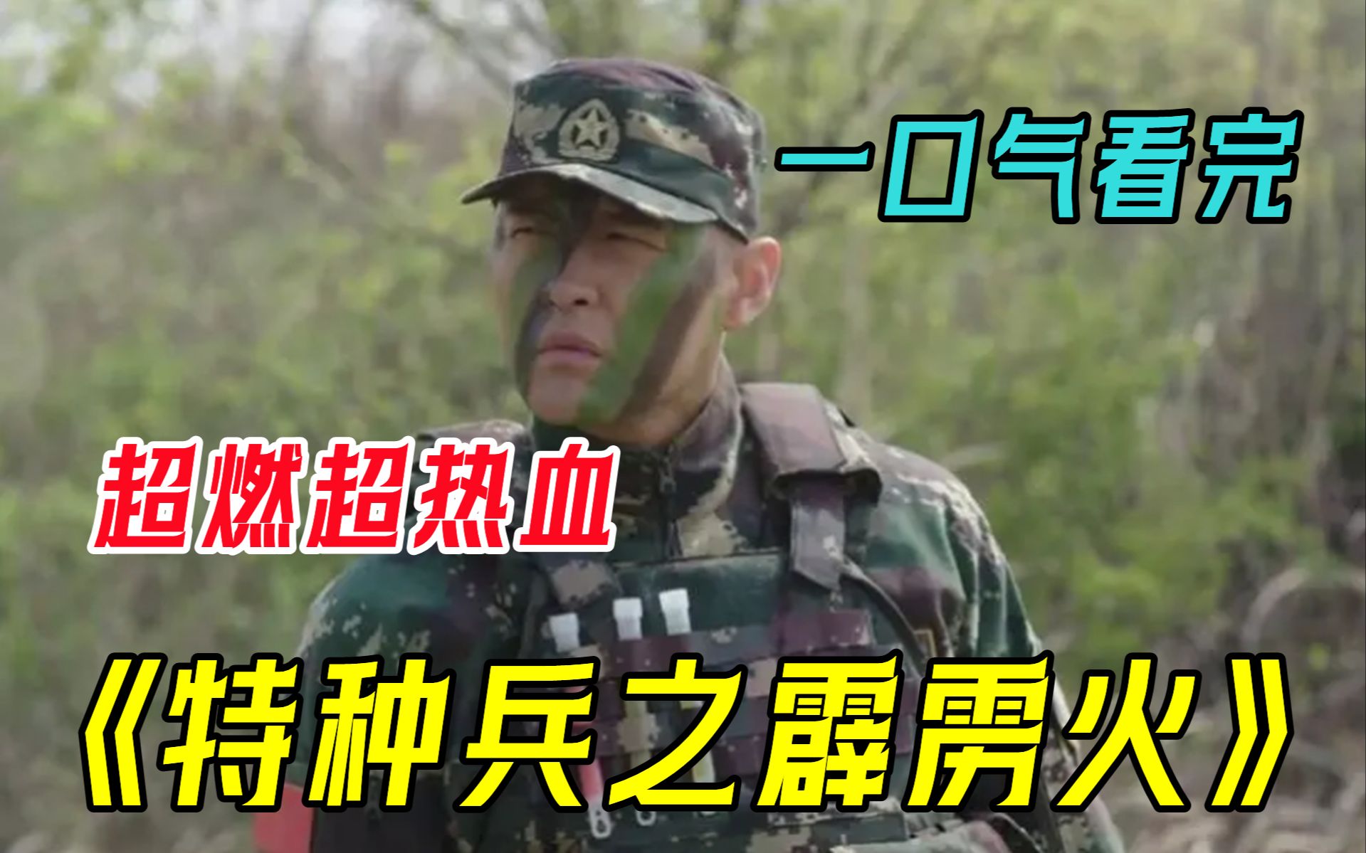 特种兵之霹雳火救卧底图片