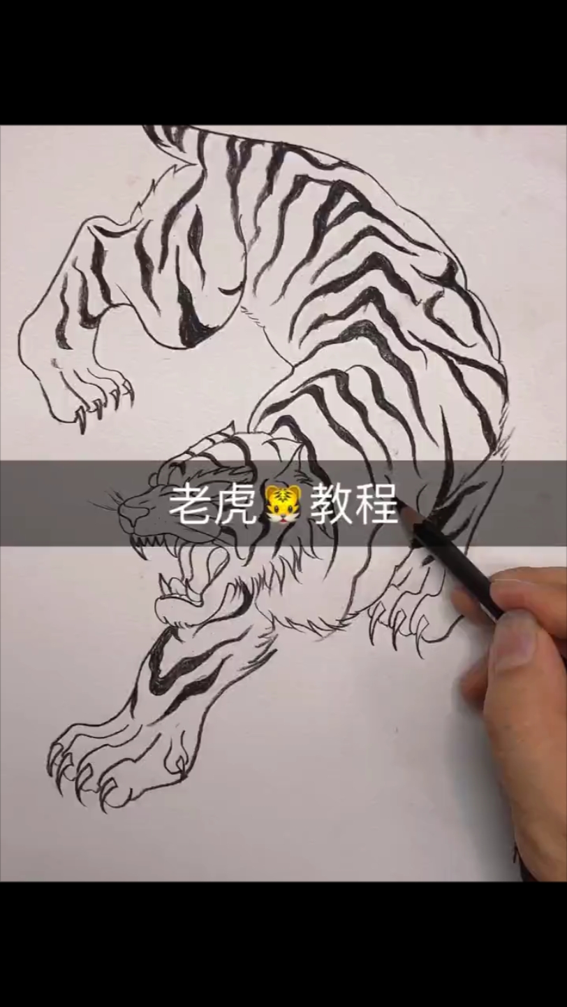 如何画好一只老虎
