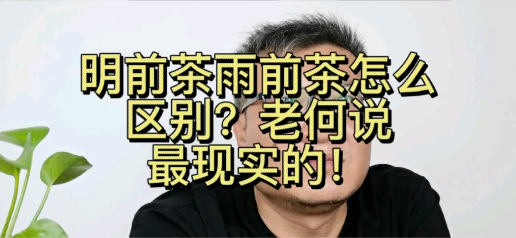 [图]老何说最现实的明前茶雨前茶的区别，这是检验网上做视频真懂不懂茶商的办法