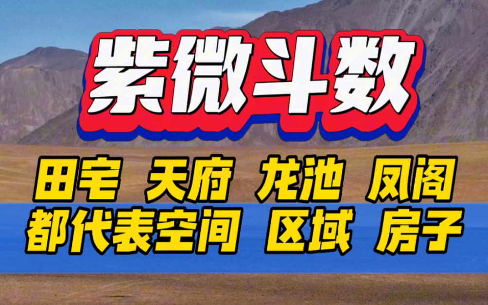 紫微斗数龙池凤阁天府田宅,都是代表某一区域某一范围这个区域称为叫龙池,如泳池,海边的度假酒店等,官府凤阁很漂亮的行政机关,天姚凤阁很漂亮的...