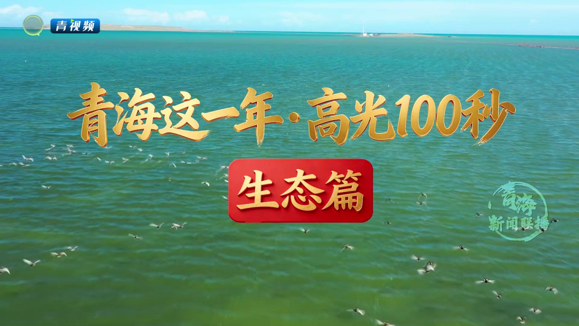 青海这一年·高光100秒 生态篇