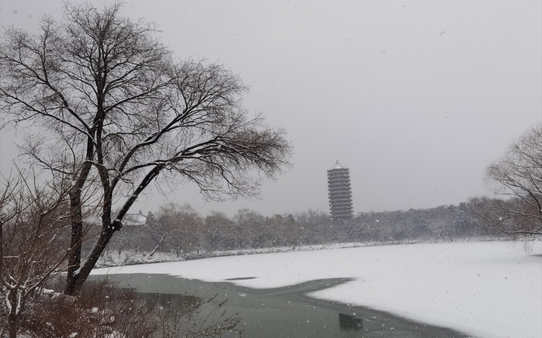 [图]沉浸式燕园赏雪