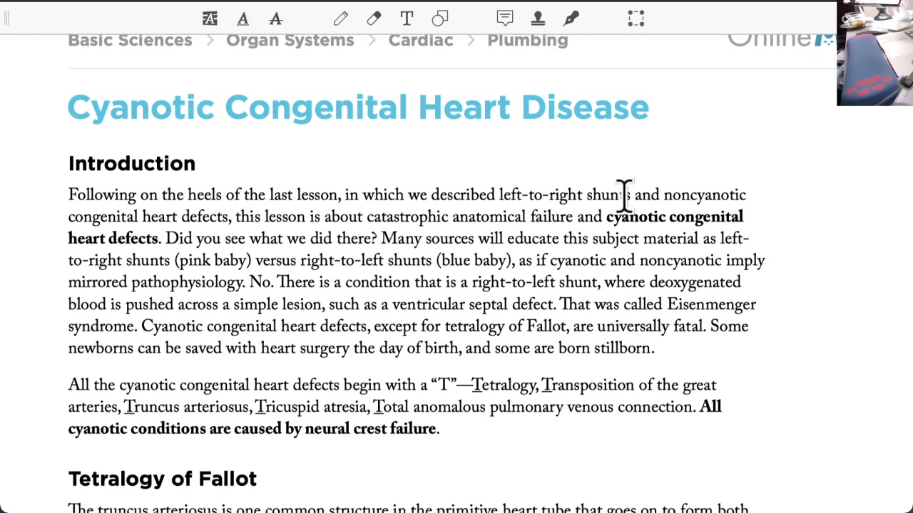 OnlineMedEdSTEP 1——Cardiac 发绀先天性心脏病 NOTE 学习哔哩哔哩bilibili