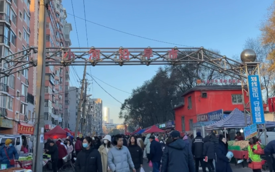 东北早市天花板|沉浸逛沈阳小河沿早市