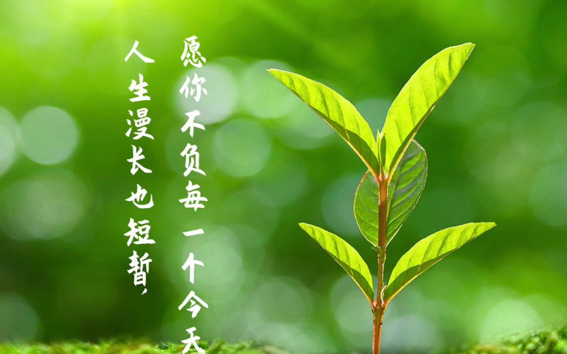 人生漫长也短暂愿你不负每一个今天