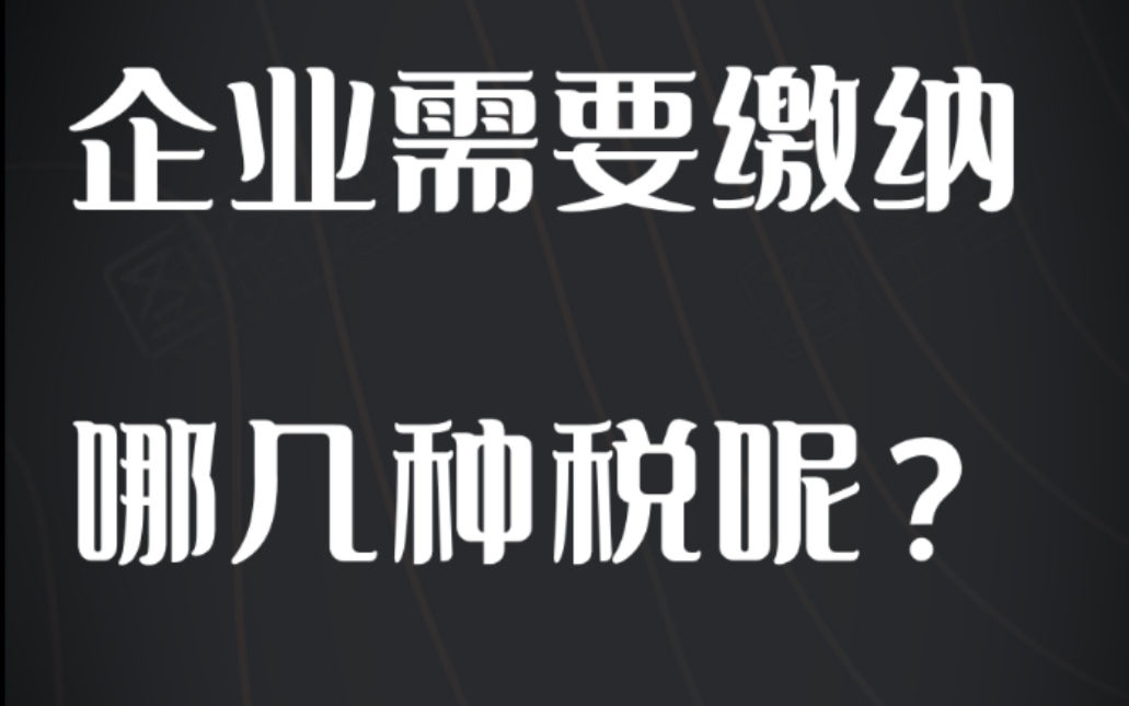 企业需要缴纳哪几种税呢?哔哩哔哩bilibili