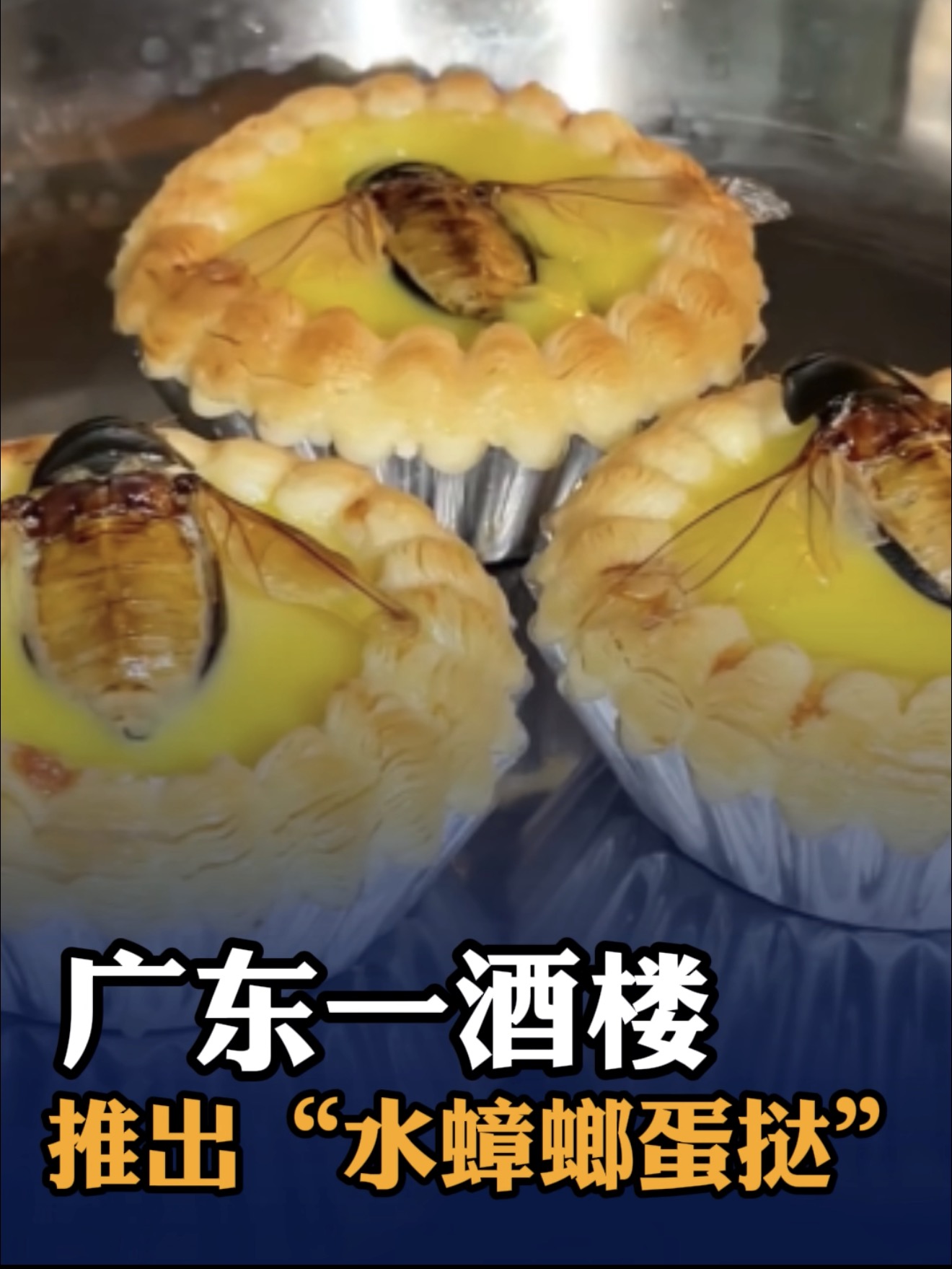 广东一酒楼推出“水蟑螂蛋挞”，甜蛋挞搭配咸香龙虱，记者试吃：意外好吃