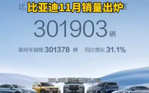 Download Video: 比亚迪11月销量301903辆，没有达到预期，但是意料之外的是仰望U8交付了408辆，厉害！