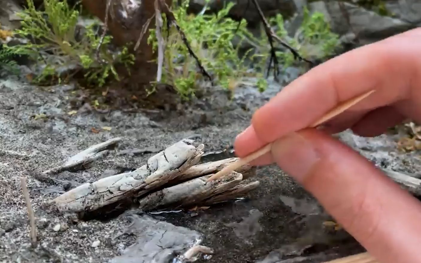 [图]你永远不知道，大佬做模型有多细节！