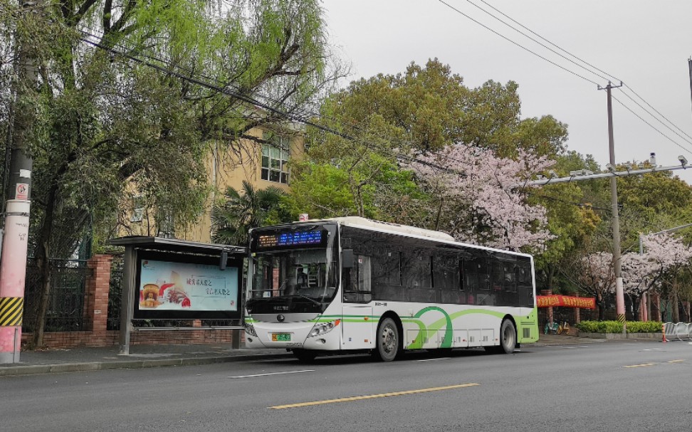 上海公交巴士一公司z1d90路靖宇南路控江路区间运行视频