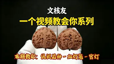 龙门涧核桃-哔哩哔哩_Bilibili