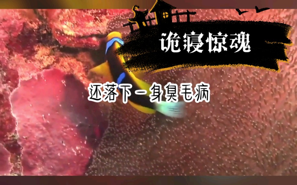 [图]小说推文《诡寝惊魂》第一集