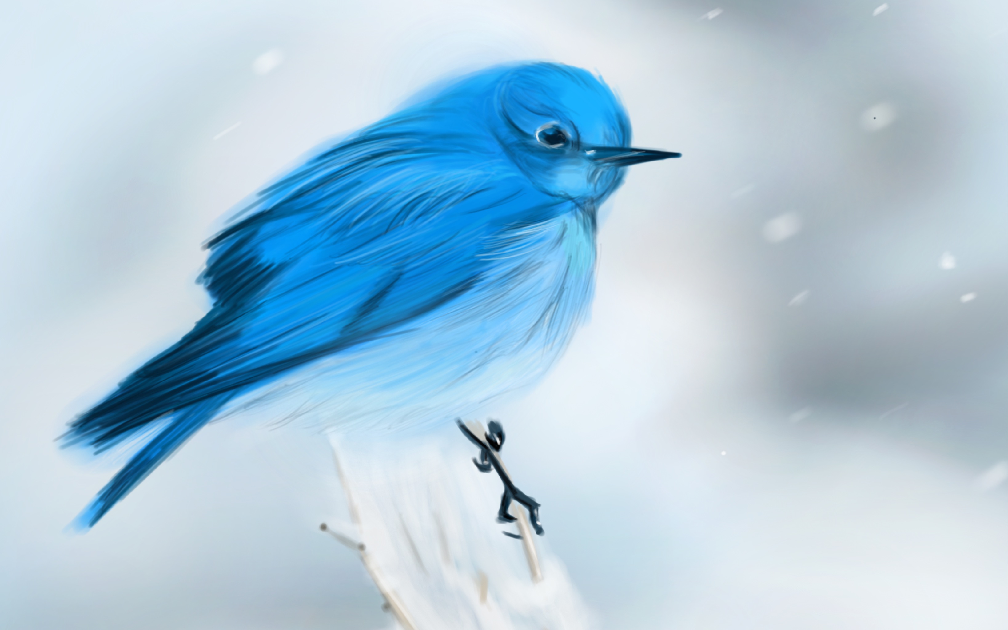 【procreate】blue bird