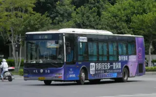 【上湖交通联盟】福州公交集团路前排（西门-白湖亭）