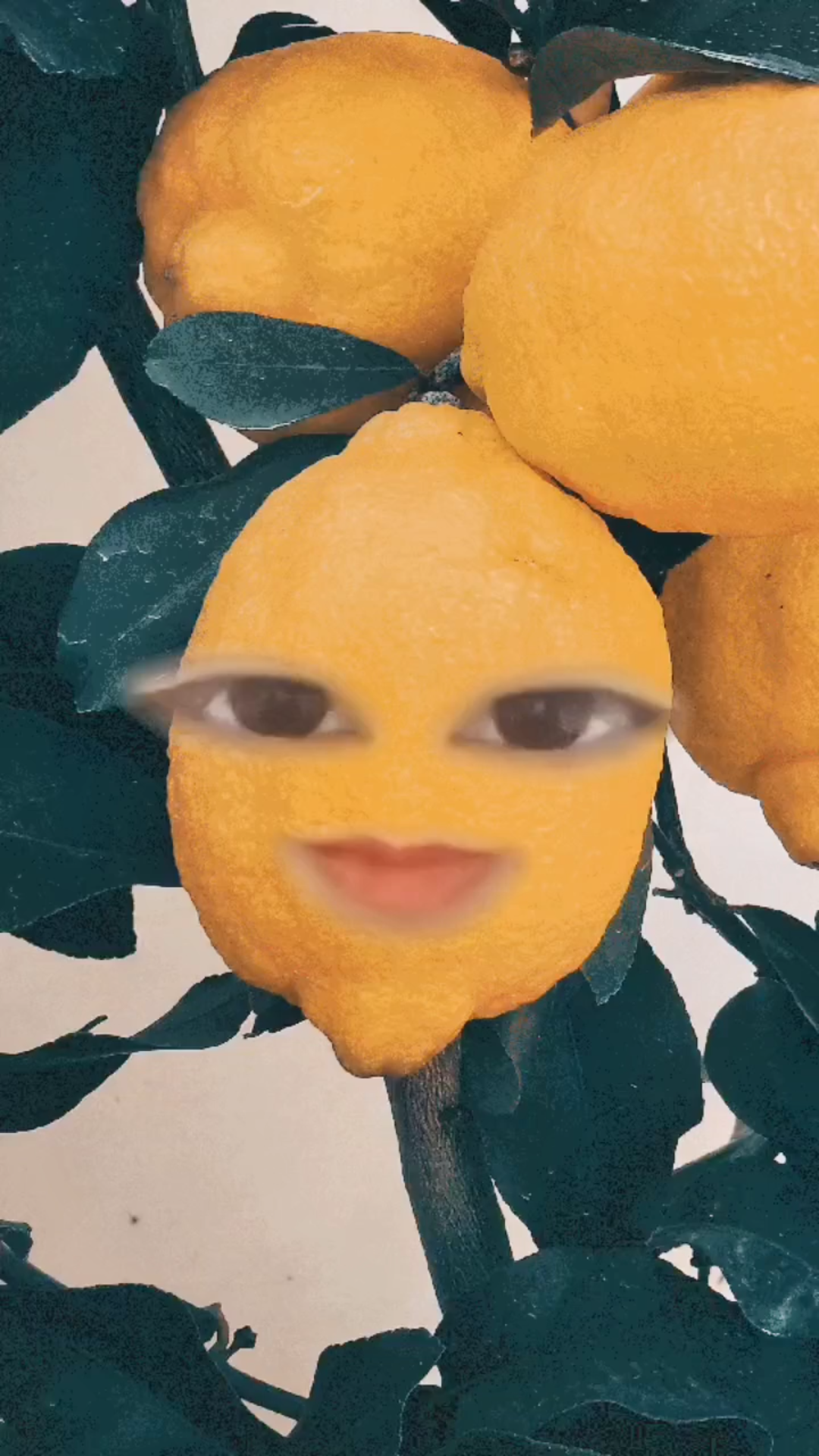 我居然，错过了选课！错过了选专业选修课！