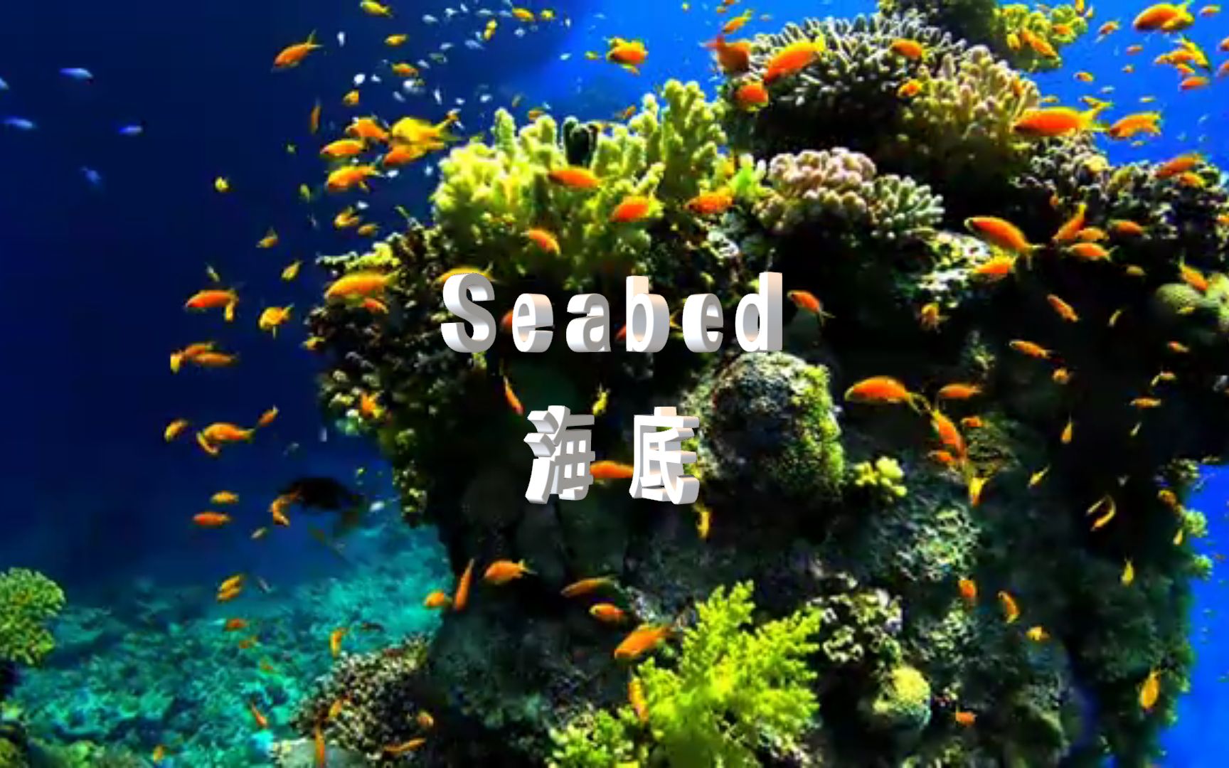 [图]不一样的伤感《Seabed -海底》，听到结尾会有意想不到的音质享受哦！