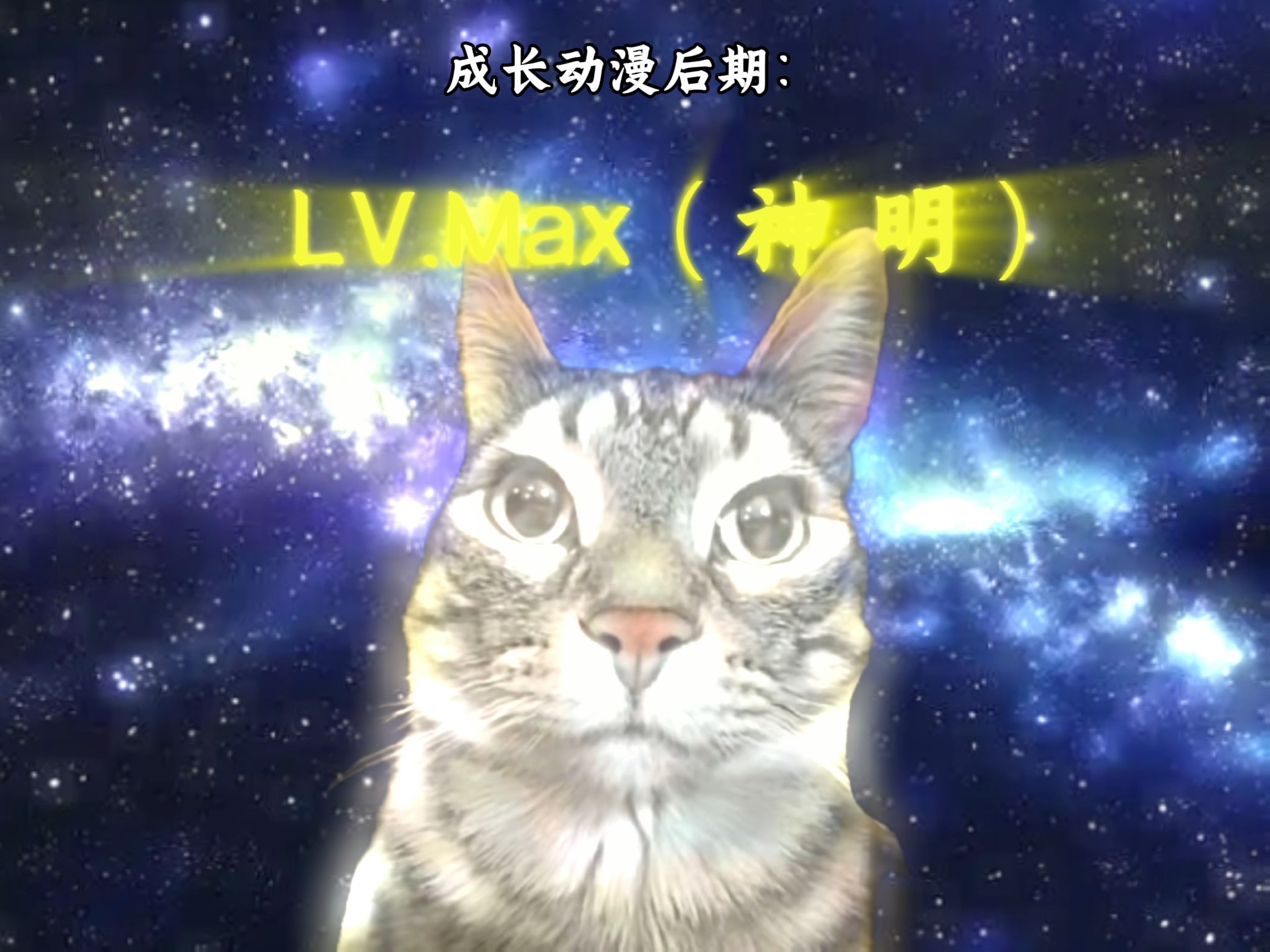 成长动漫前期VS后期