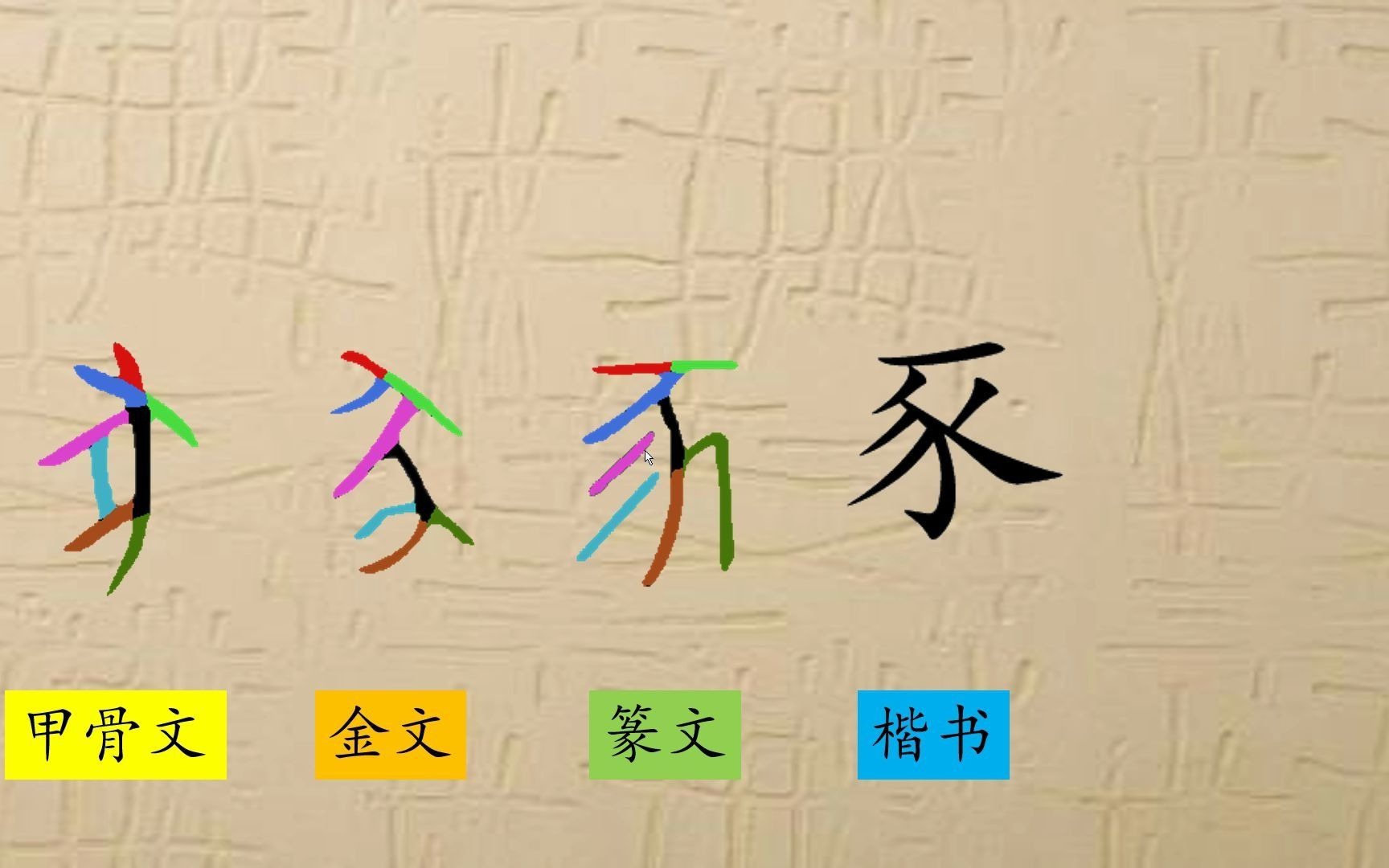 83、豕,牧豕听经,汉字演变,汉字,趣味识字,象形字,甲骨文哔哩哔哩bilibili