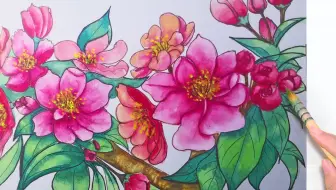 水彩透明花朵 如何画清爽透明的花朵一步一步绘画教程 哔哩哔哩 Bilibili