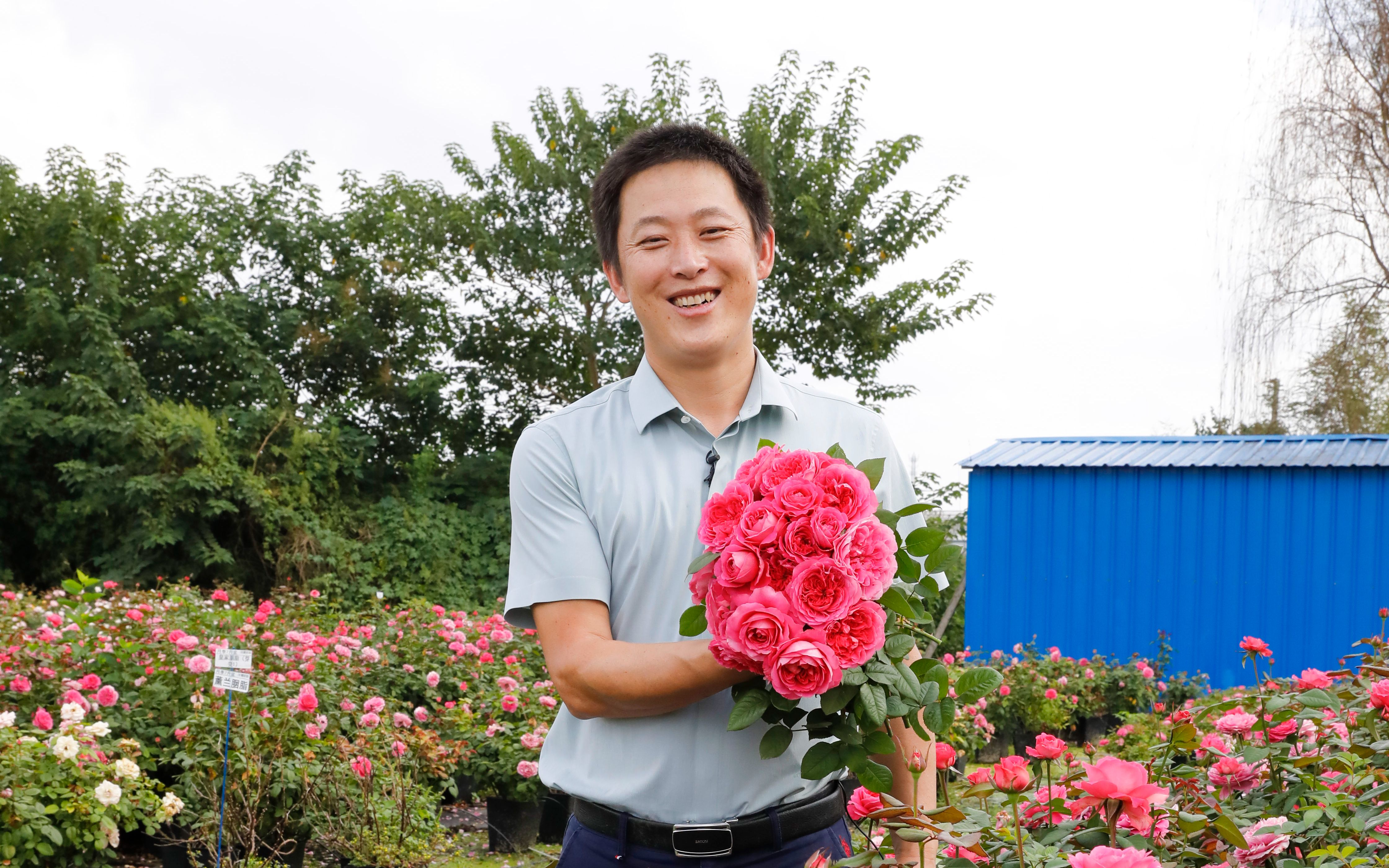 [图]【天狼月季】花大色艳香满面，自育新品「薰兰胭脂」