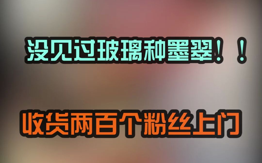 我从事翡翠行业以来,还没见过玻璃种墨翠哔哩哔哩bilibili