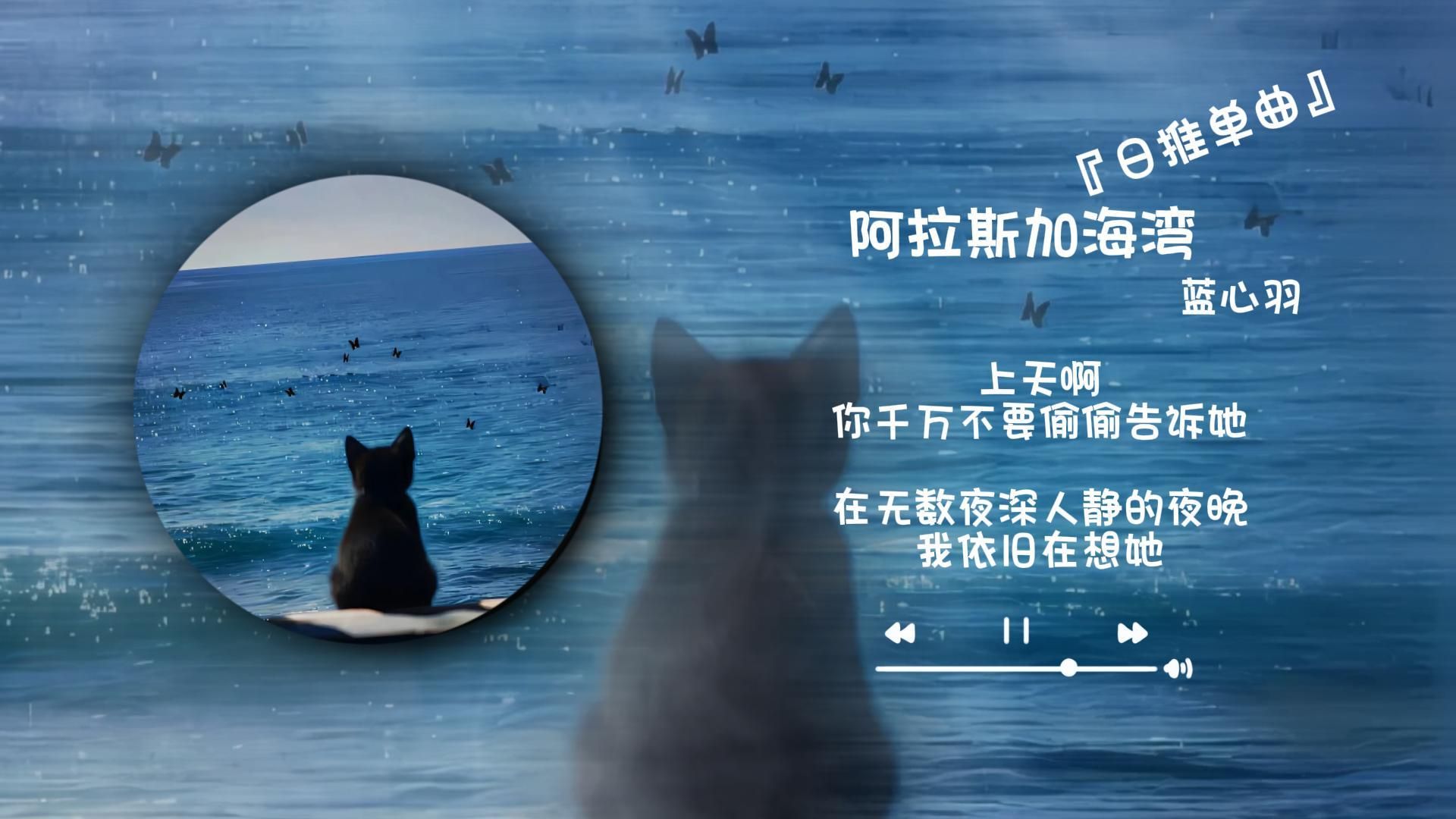 阿拉斯加的海湾的故事图片