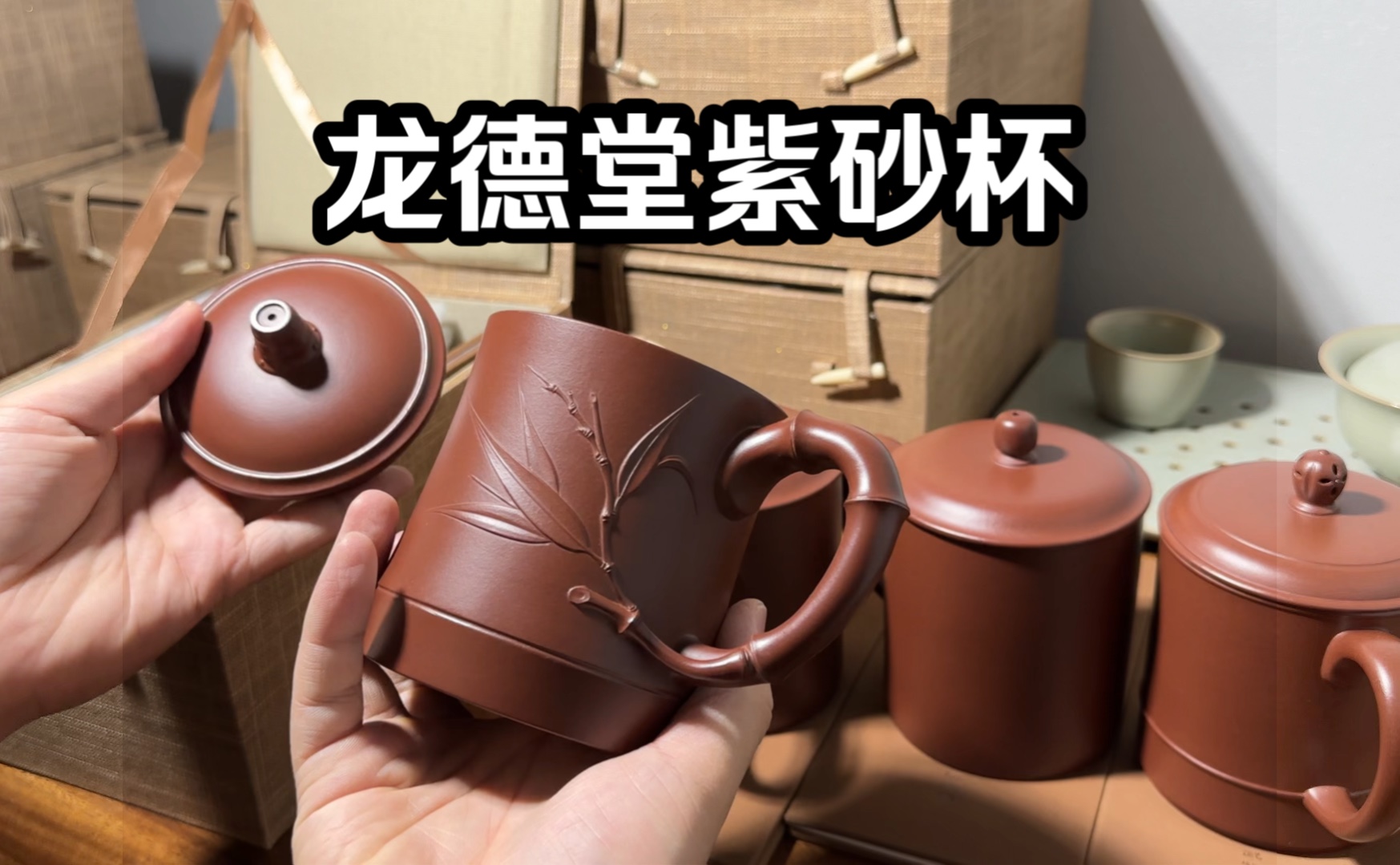 茶器开箱 | 龙德堂紫砂杯分享哔哩哔哩bilibili