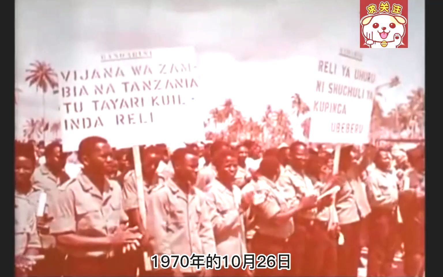 1972中国援建非洲视频:无数先烈客死他乡!永远留在了遥远的非洲哔哩哔哩bilibili