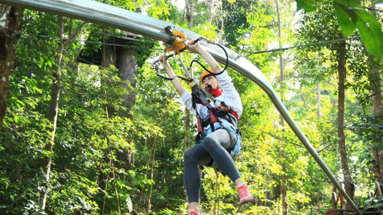 丛林高空轨道滑索丛林高空轨道滑索看这里