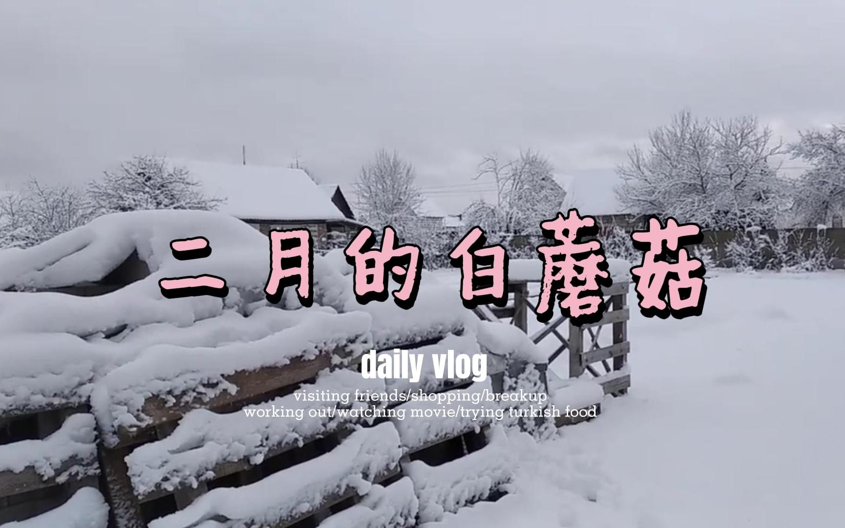 [图]大雪纷飞下的俄国白蘑菇