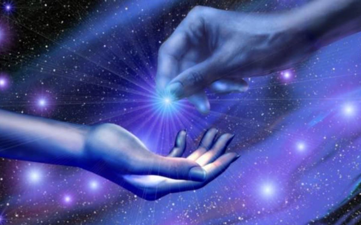 星际种子与流浪者lawofone005